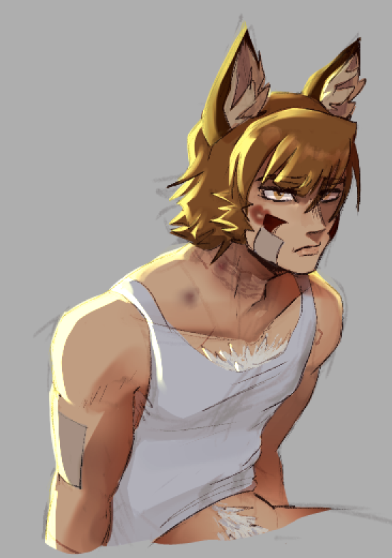 Sleepless-OpenComm tweet media