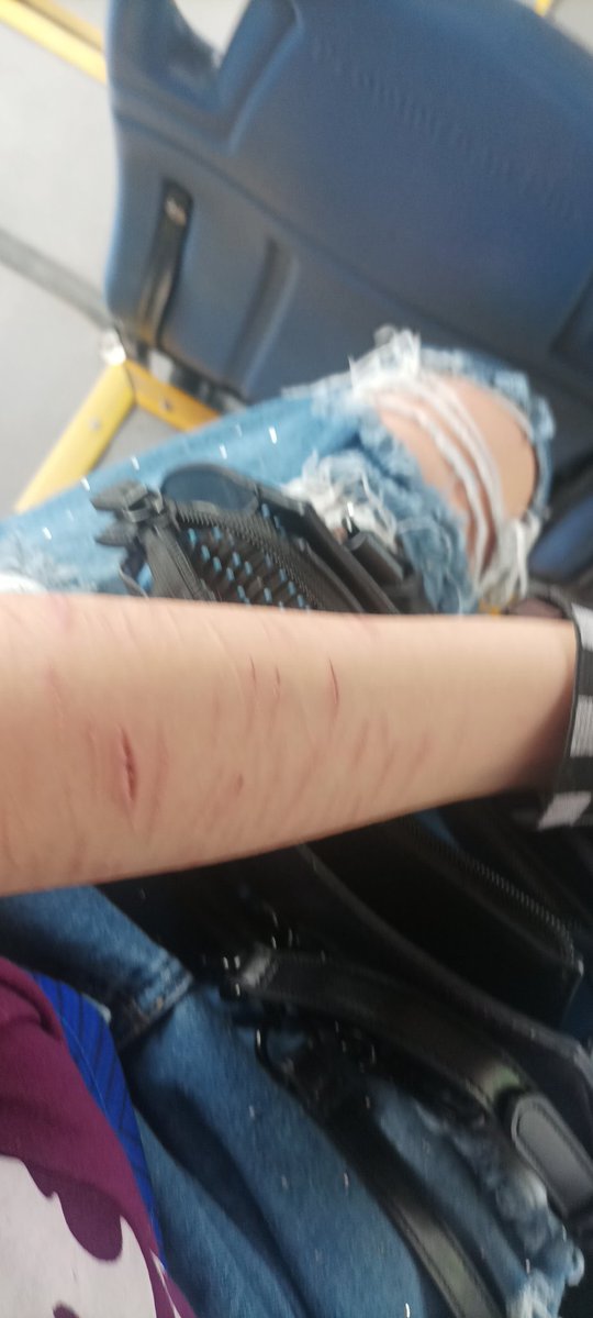 Bamykat XD tweet media