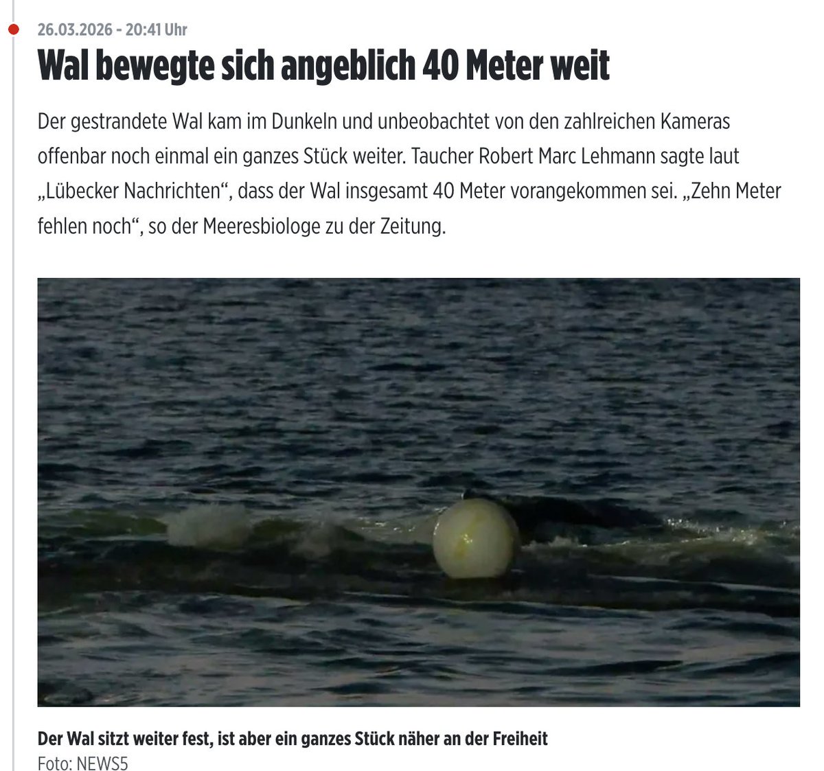 eugyppius tweet media