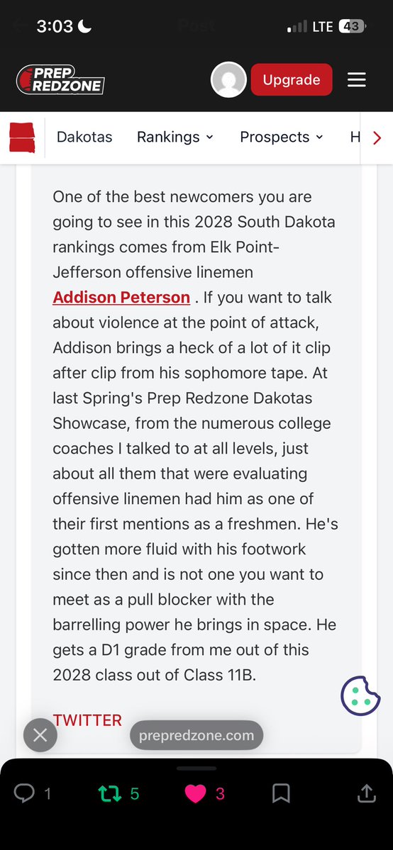 Addison Peterson tweet media