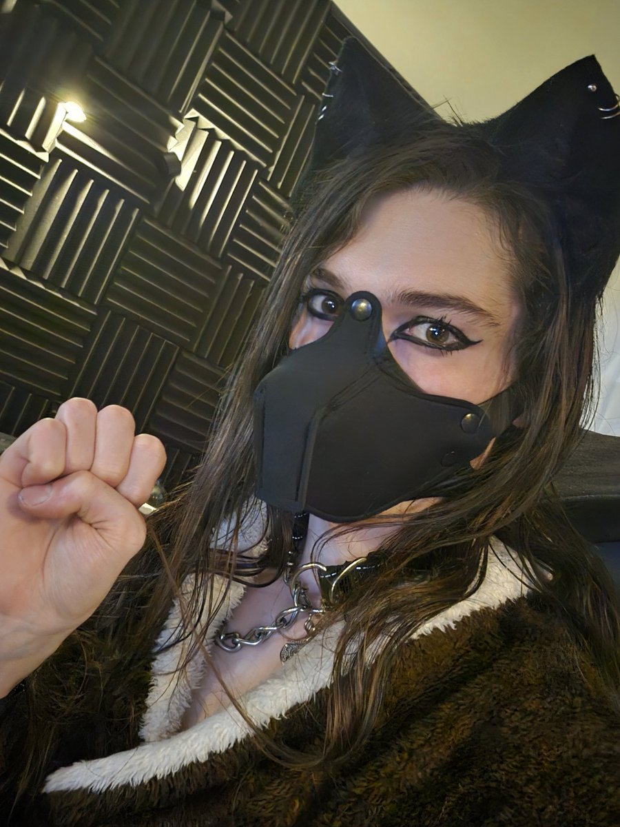 FALLOW🎸 🏳️‍⚧️✨ tweet media