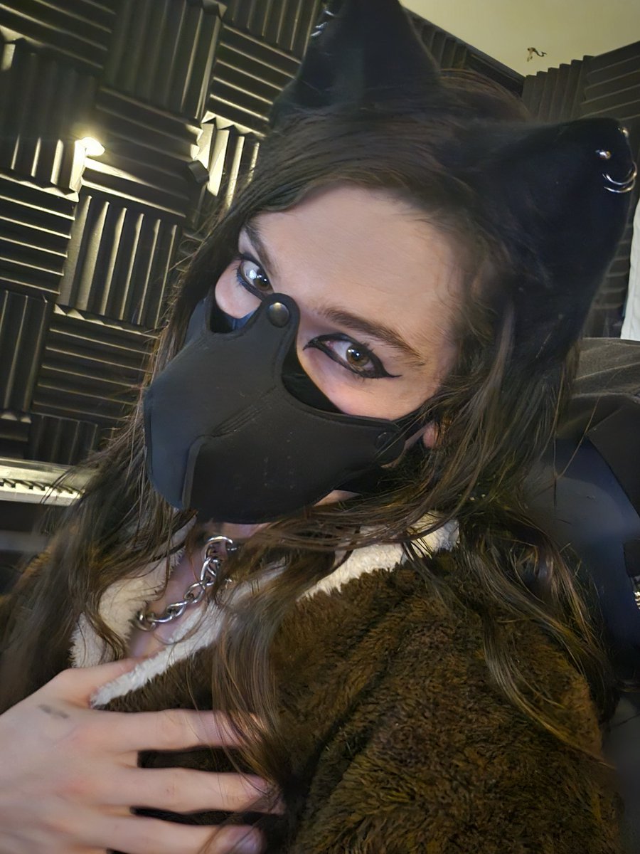 FALLOW🎸 🏳️‍⚧️✨ tweet media