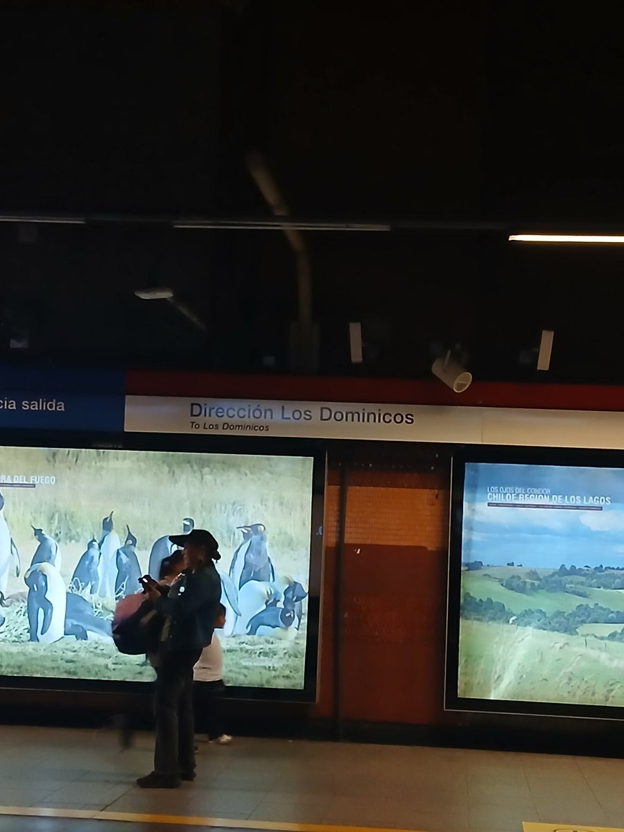 JosIgnacioPared's tweet photo. @metrodesantiago hay un pequeño error en las direcciones, se pusieron en andenes opuestos ejemplo dice dirección san Pablo el andén que va hacia los dominicos esto es en est. Central L1 https://t.co/blTxuoFf4F