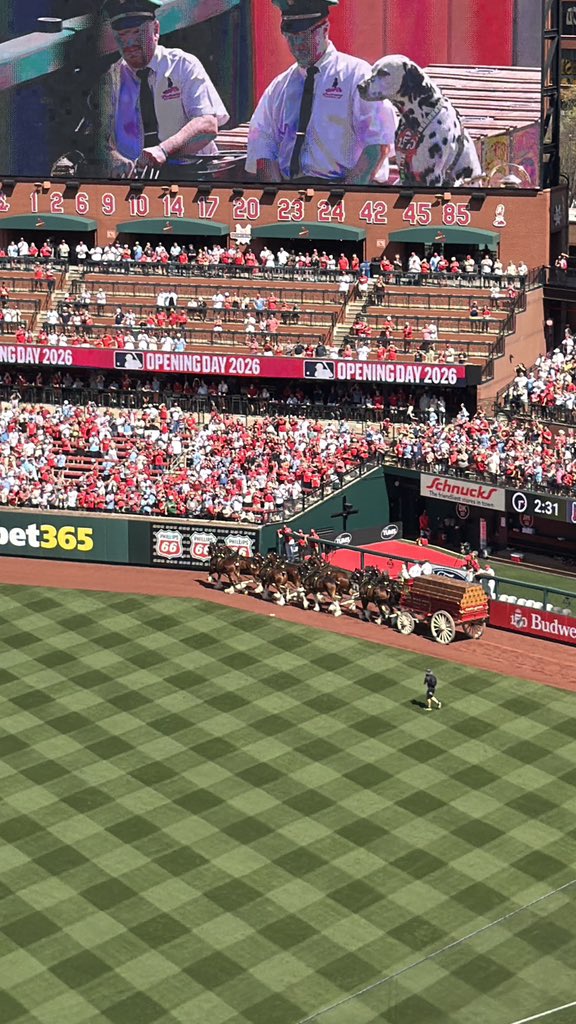 FPWellman's tweet image. A beautiful afternoon in Busch Stadium for Opening Day 2026 with Team Wellman! Let’s go @cardinals! #TeamWellman @wellmanformo #StLouis #missouri #OpeningDay