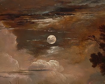 blossom. tweet media