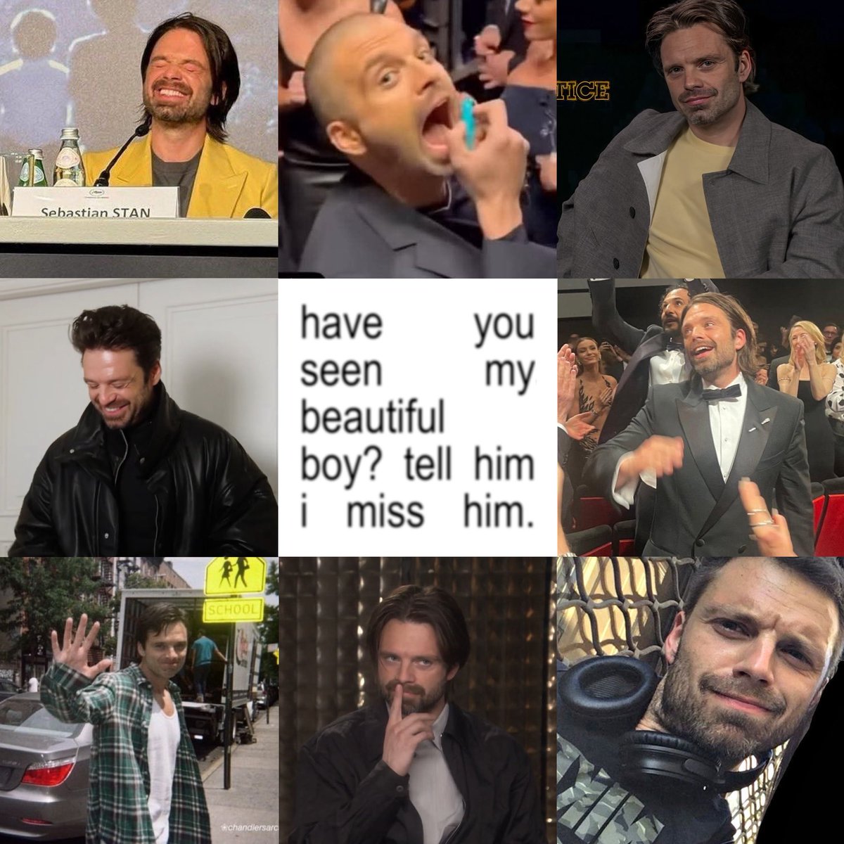 mar ౨ৎ🐆 tweet media