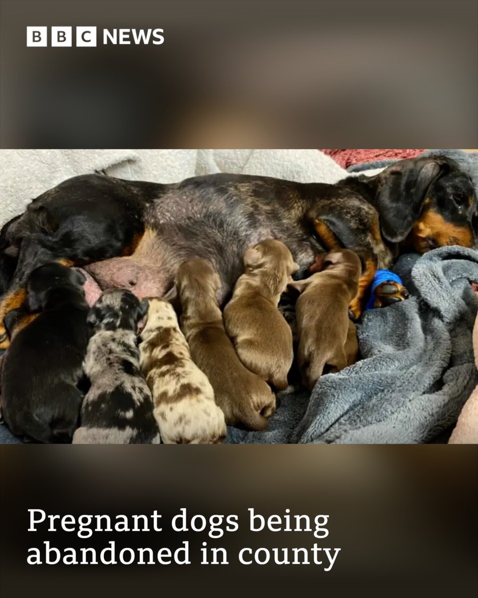 BBC Hereford & Worcester tweet media