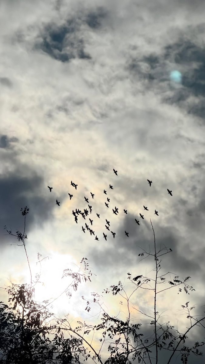 مـُصـّطـَفَى tweet media