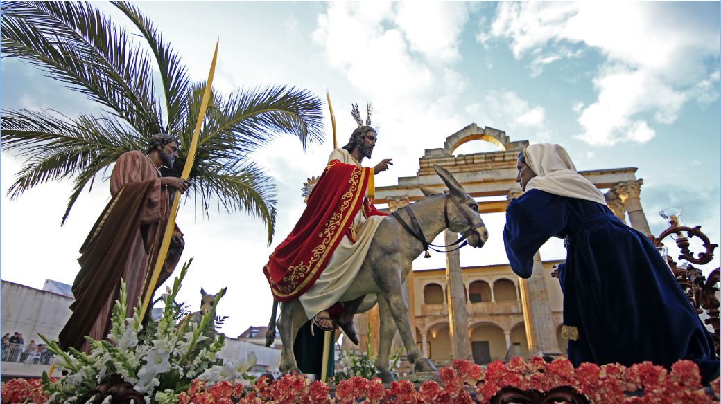 planVE guía de ocio tweet media