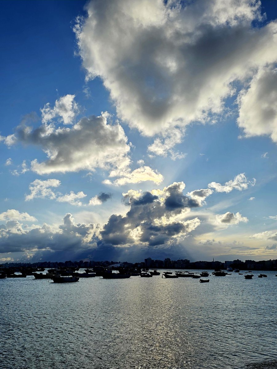 mohamad diab tweet media