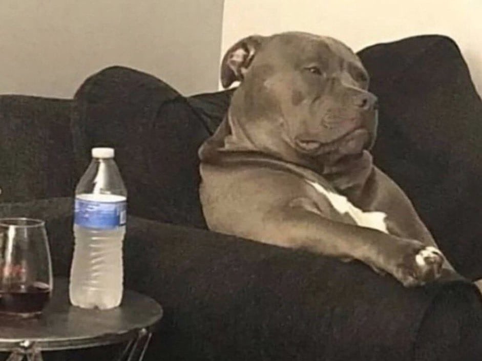 Ineligible 📚 tweet media