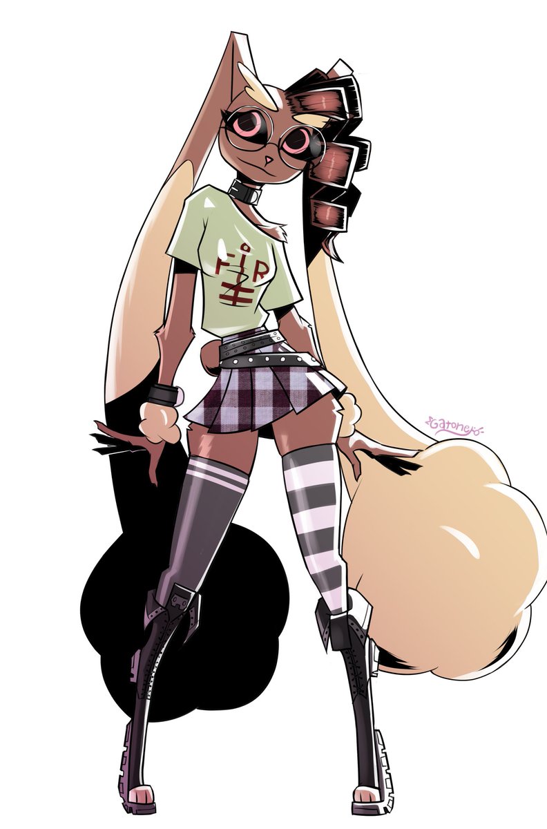 Gatonejo tweet media