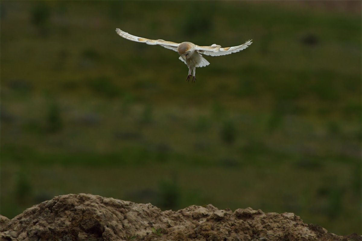 Phil Burnside tweet media