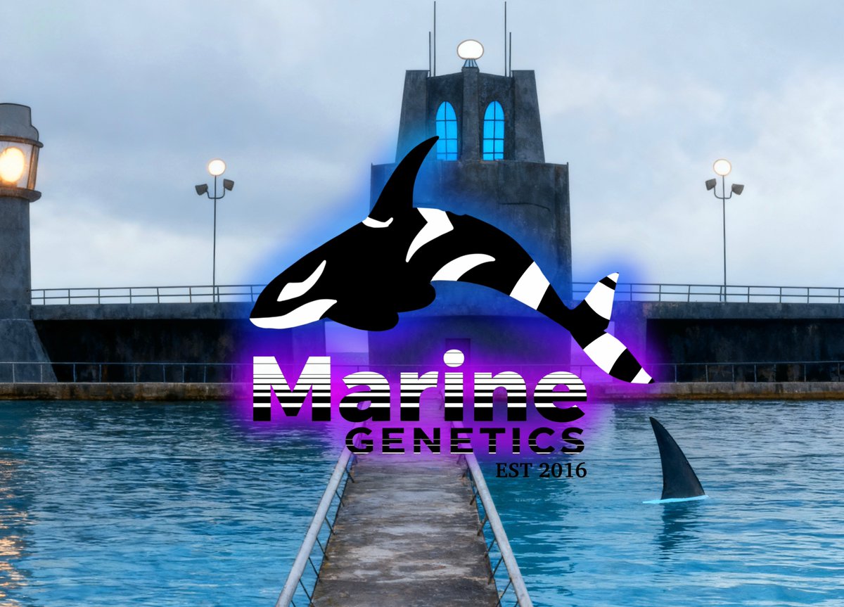 Ink Angel nine 💙⚛️✝️🩷 tweet media