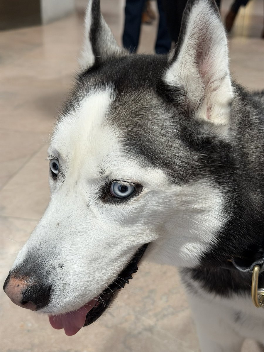 Kevin Chamberlin tweet media