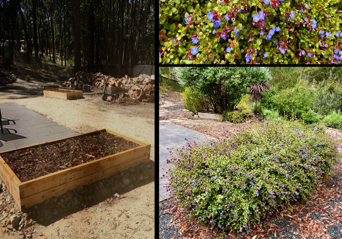 Bridie (EBK)❤️💛🖤🍉🏳️‍🌈🏳️‍⚧️✌🏽👊 tweet media