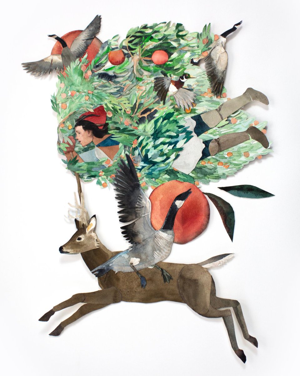 KCMO Public Library tweet media