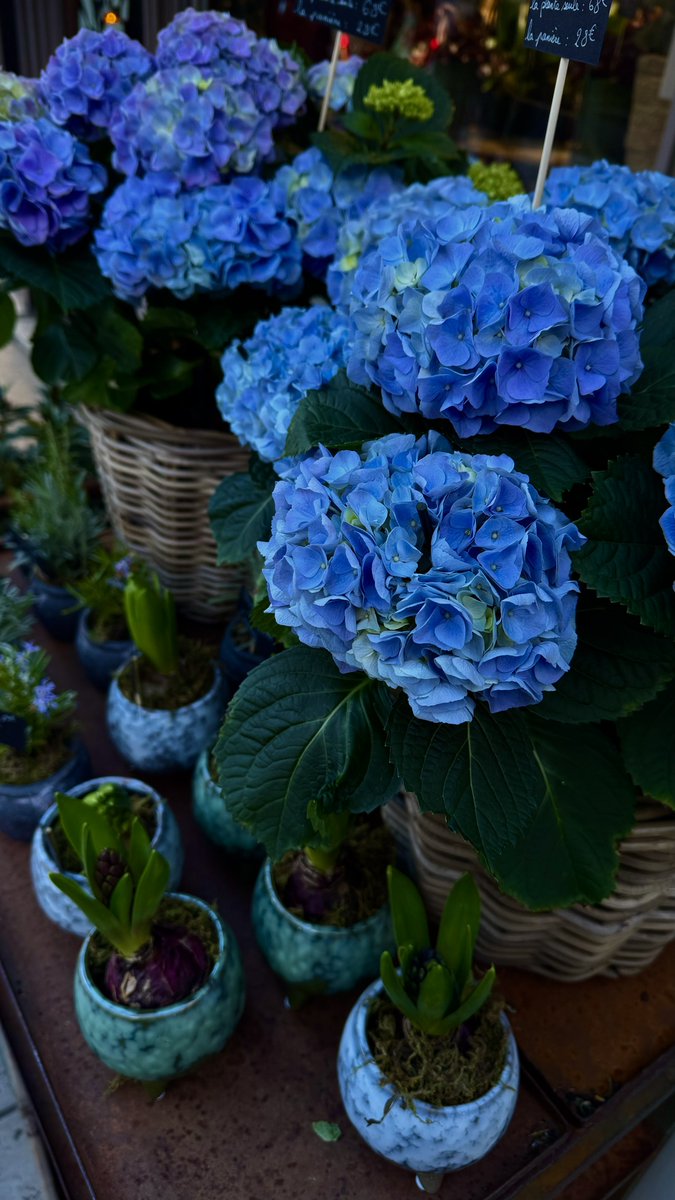 أسمر 🇵🇸 tweet media