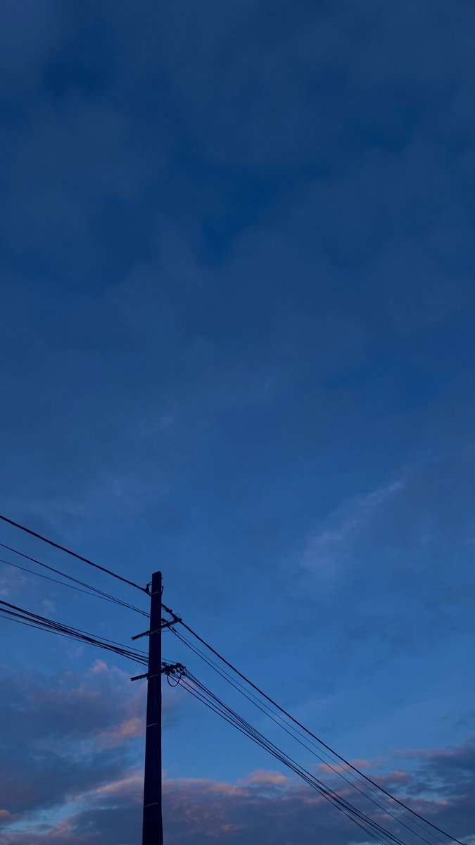 أسمر 🇵🇸 tweet media