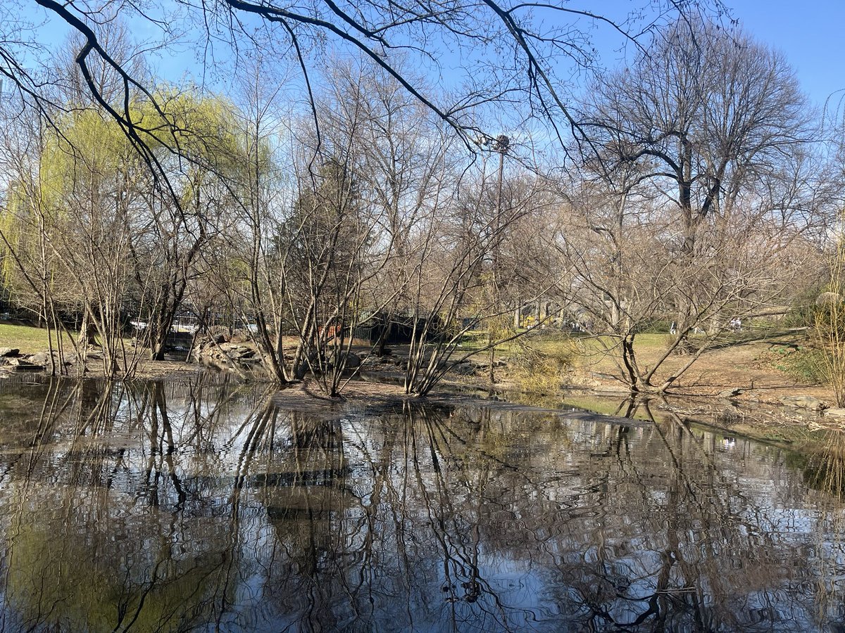 two ⚙️ tweet media