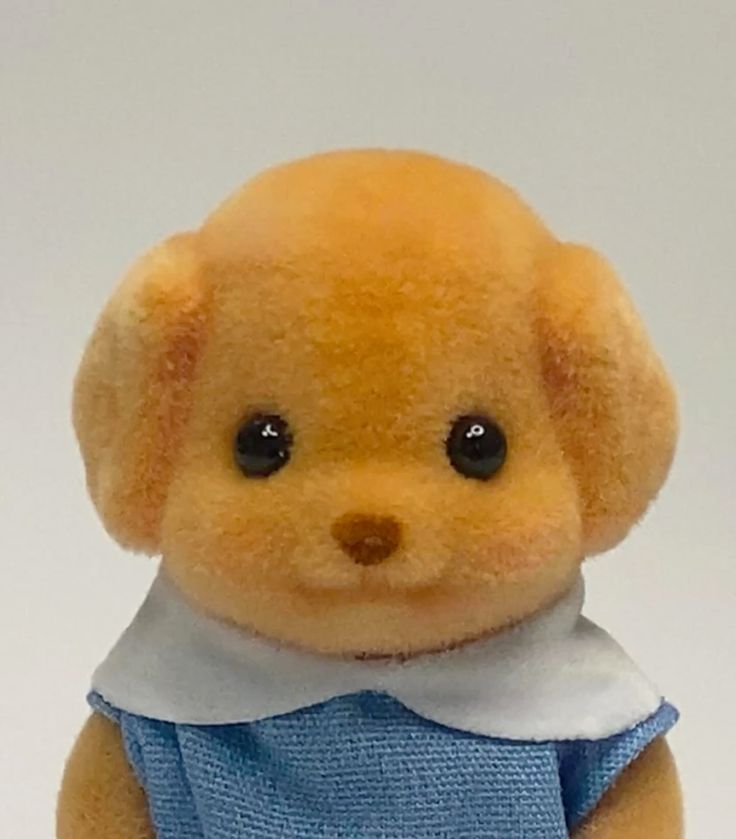 eevee ✨ tweet media