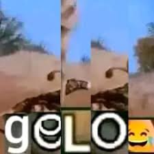 Veda 🌸 tweet media