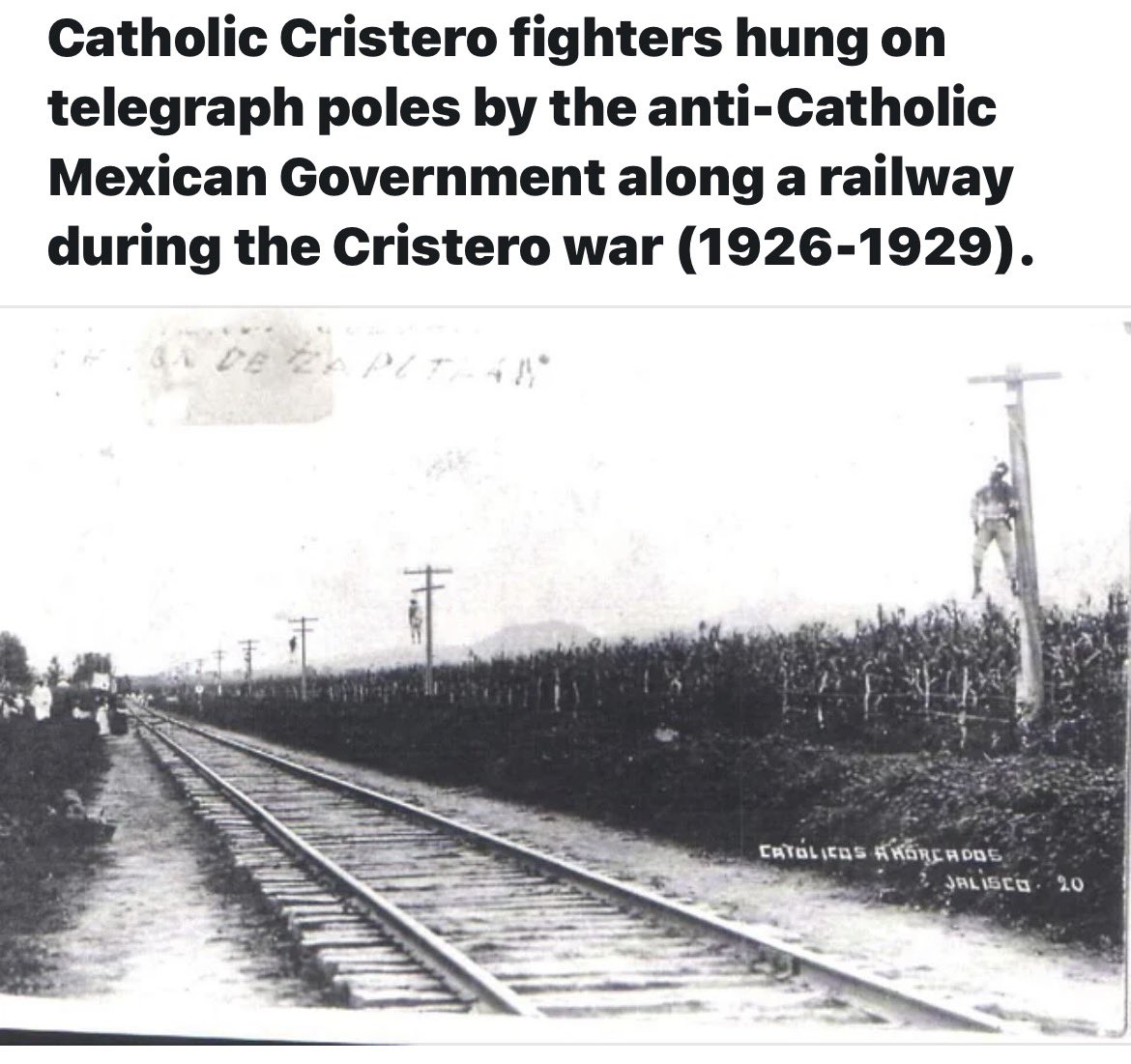 macrojo3's tweet photo. @ProtecttheFaith Like Mexico did in 1926 that triggered the Christero War.

Watch the movie : For the Greater Glory starring Andy Garcia.

Yes, in 1926 the Mexican government was executing Catholic priests and hanging Catholics from telegraph poles..... https://t.co/PVzT0XnHLj