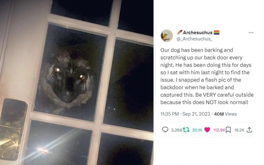 Jason_MG13🐰🐑🤎🖤 tweet media