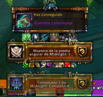 Lintucilla 🦝 tweet media