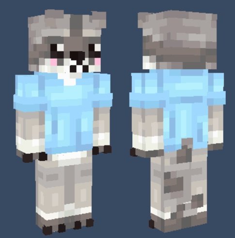 Why you should have a Raccoon tweet media