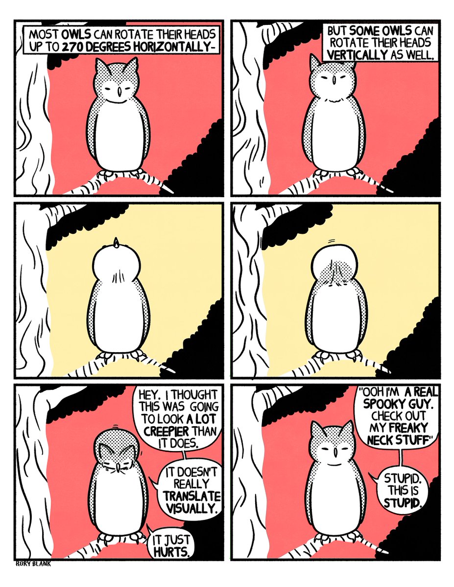 Rory Blank tweet media