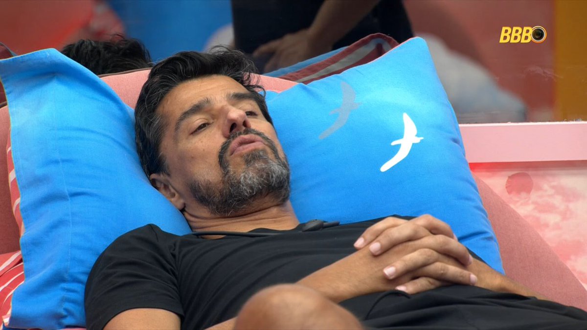 Antenados #BBB26 tweet media