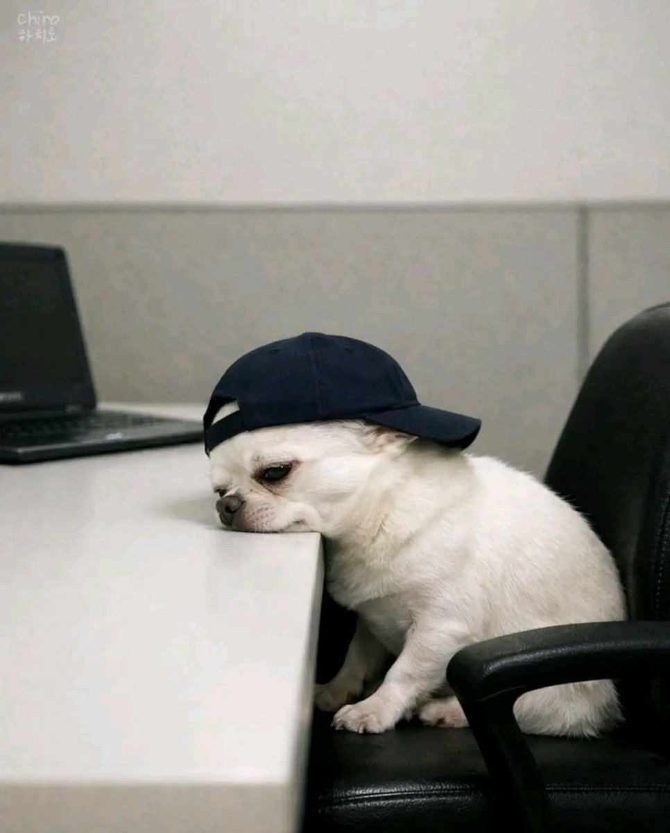 DreamOff007's tweet photo. Mood https://t.co/cNf3WAVEpw