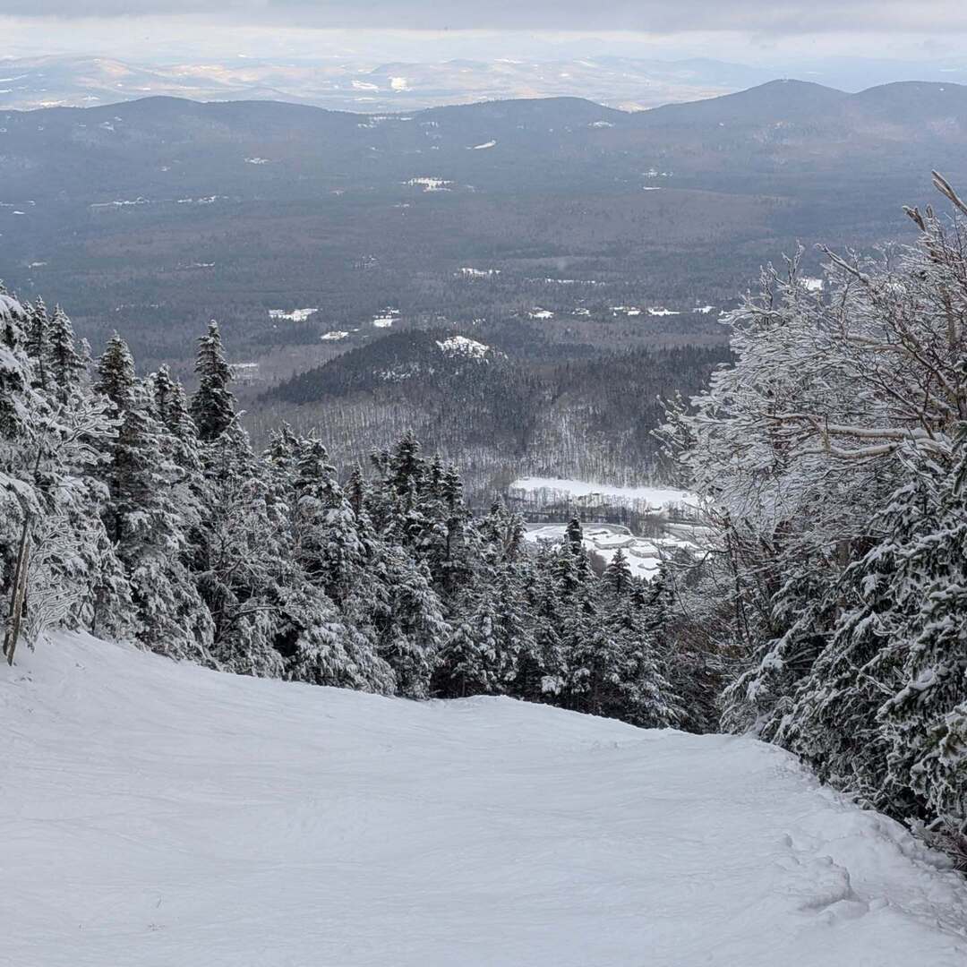 Tucker Goodrich tweet media