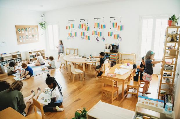 FreedomsPhoenix tweet media