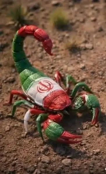 إكليله رانيا&𐩧𐩱𐩬𐩺𐩱 𐩽𓃵‏🤍🇾🇪 tweet media