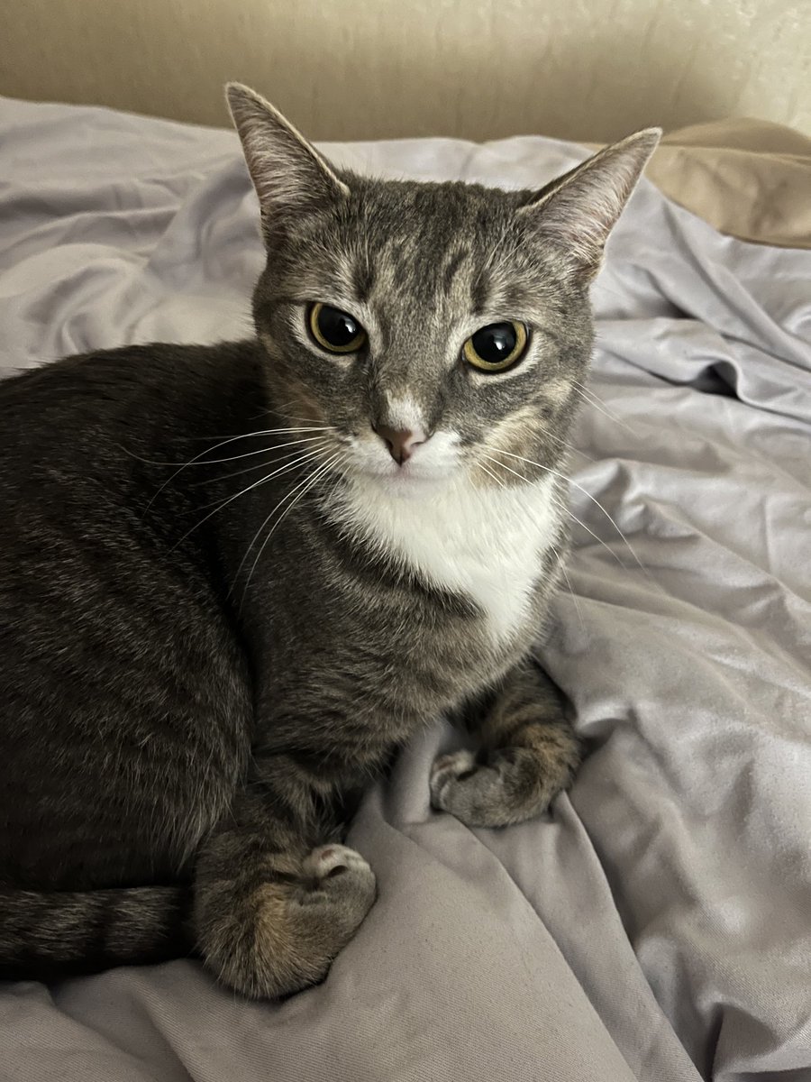 ізоботтом урану tweet media