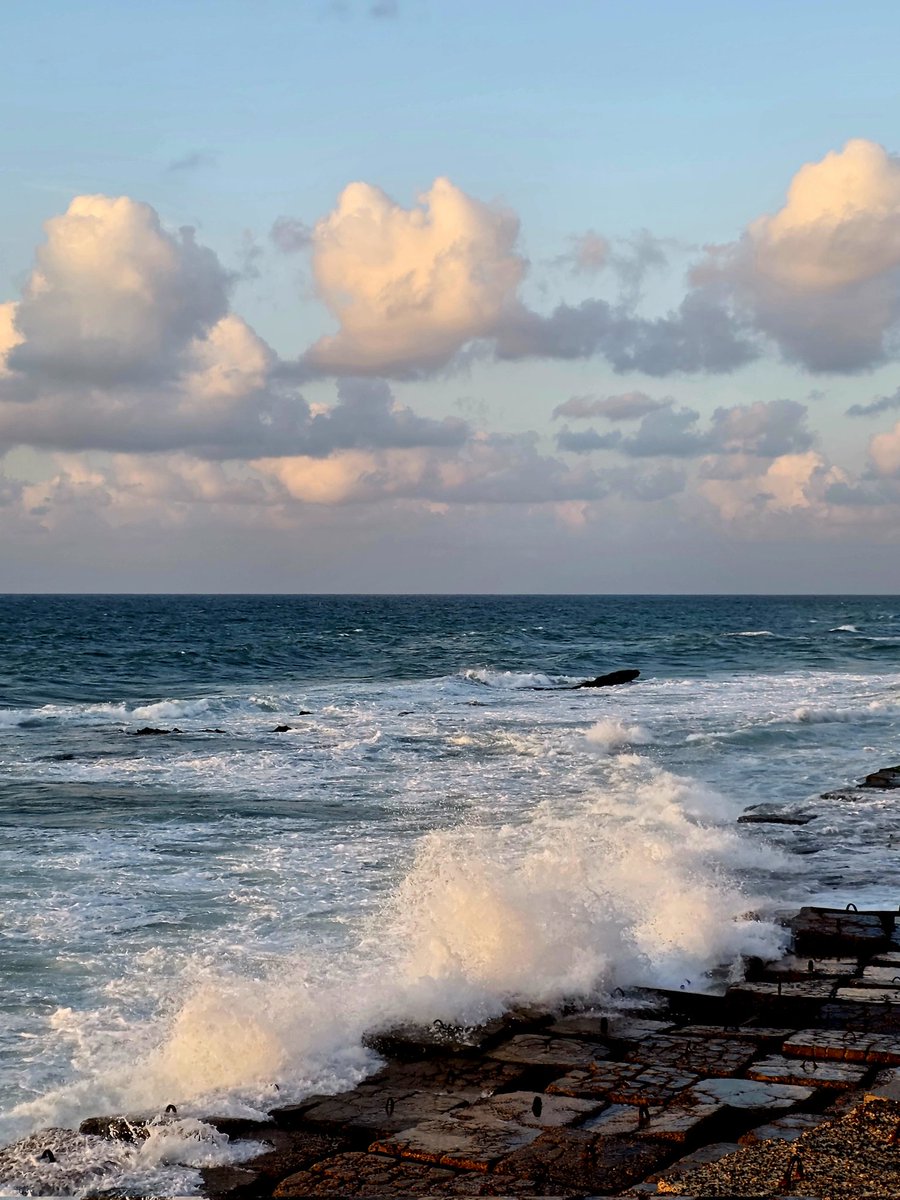 mohamad diab tweet media