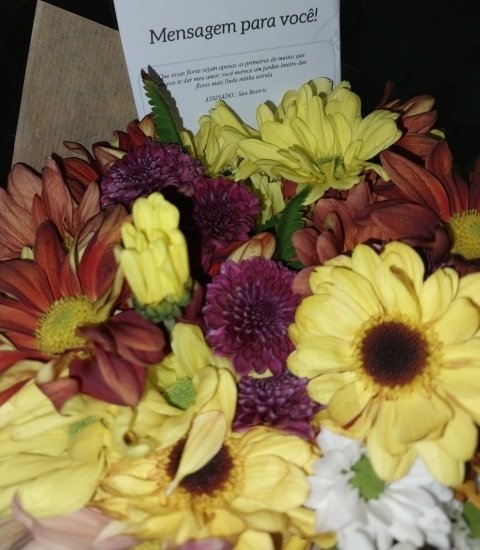 ͏ bela ⚢︎ tweet media