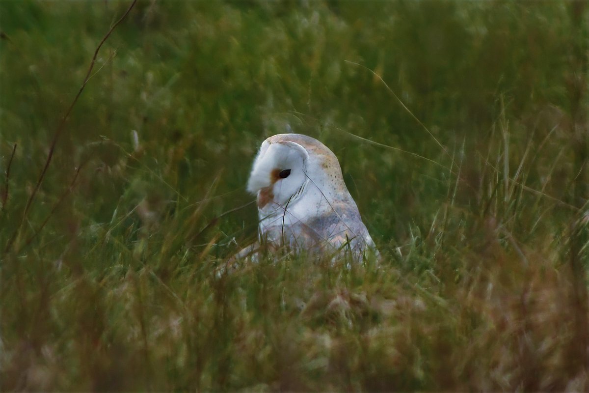 Phil Burnside tweet media