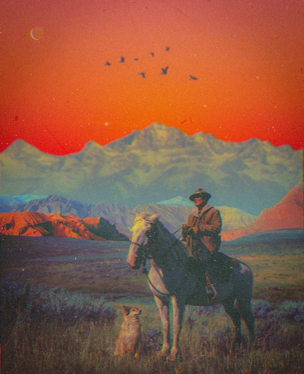 post wook ✨🌻 tweet media