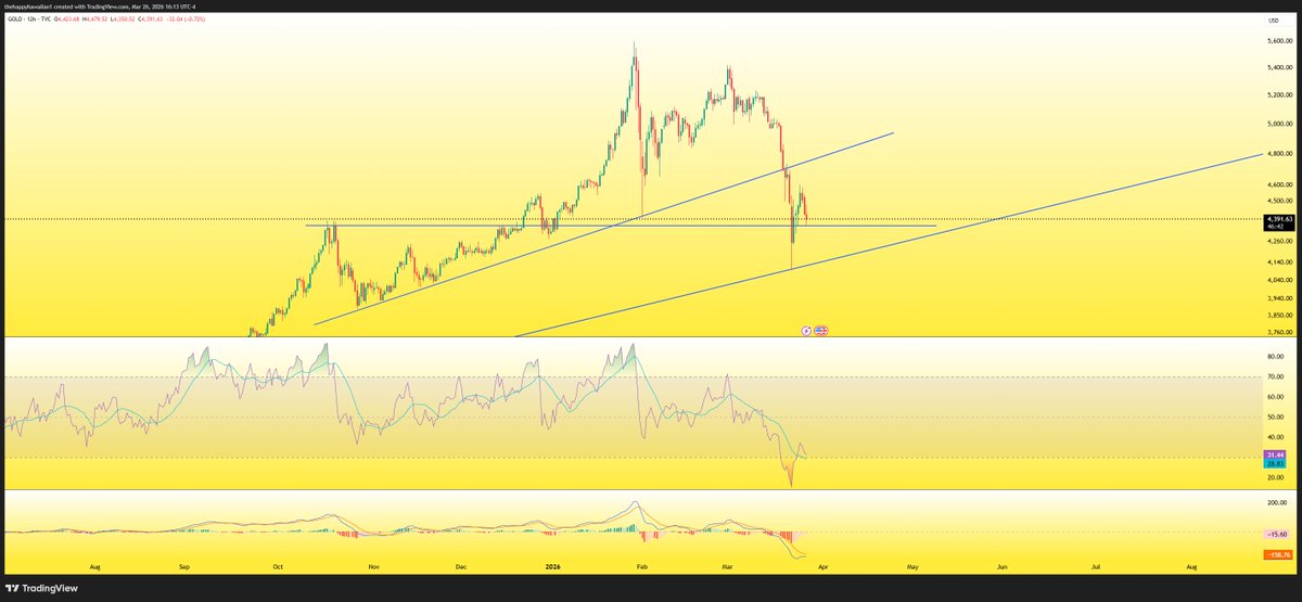 TheHappyHawaiian tweet media