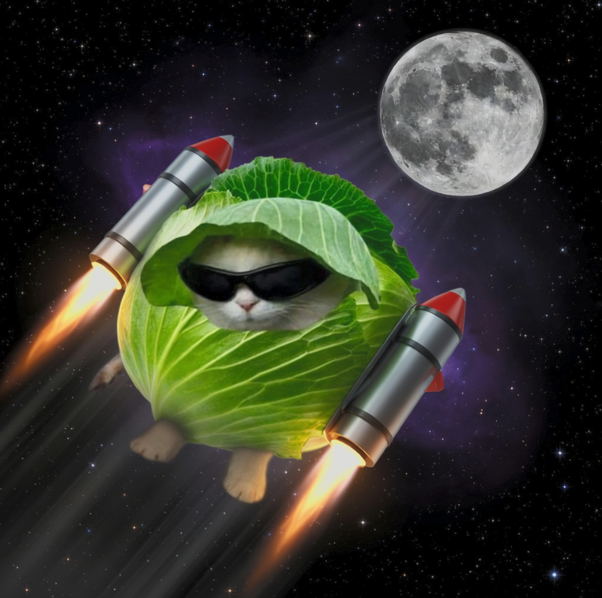 wax ワックス tweet media