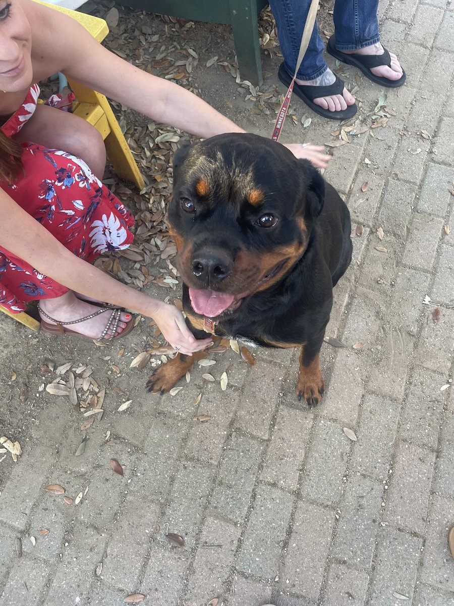 Logan Frederic tweet media