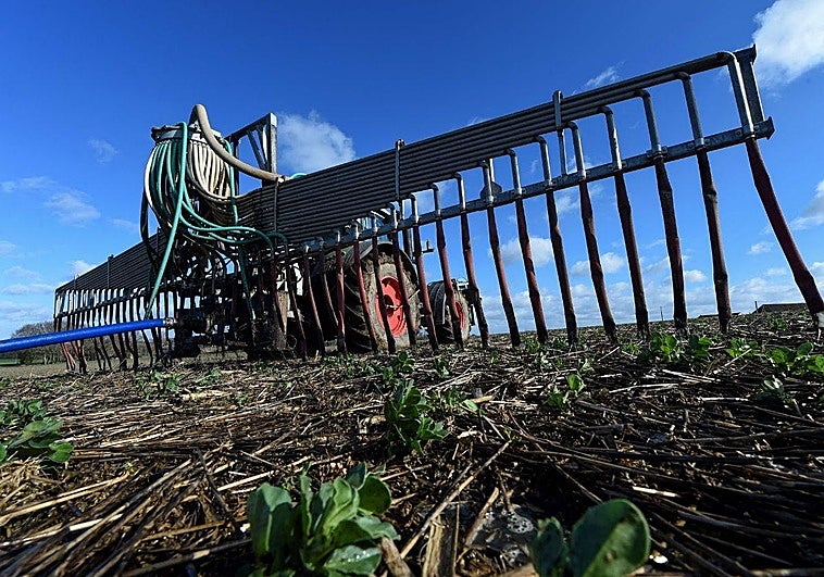 Ángel Zurita Laguna tweet media