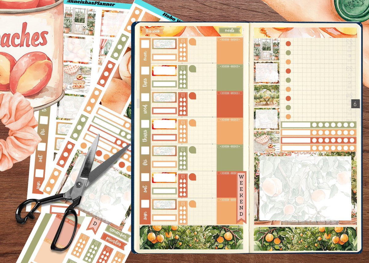 AnneishasPlanner tweet media