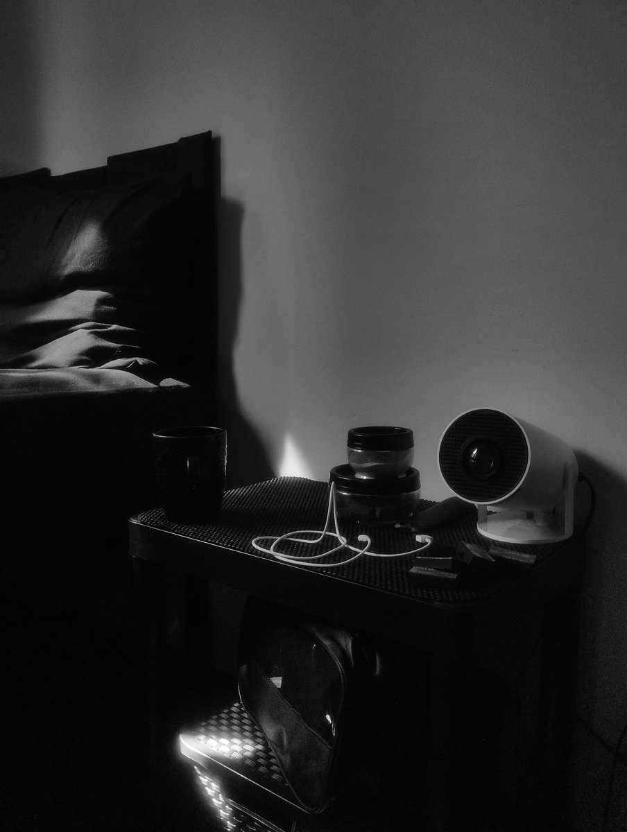 Camila Hammerschmidt tweet media