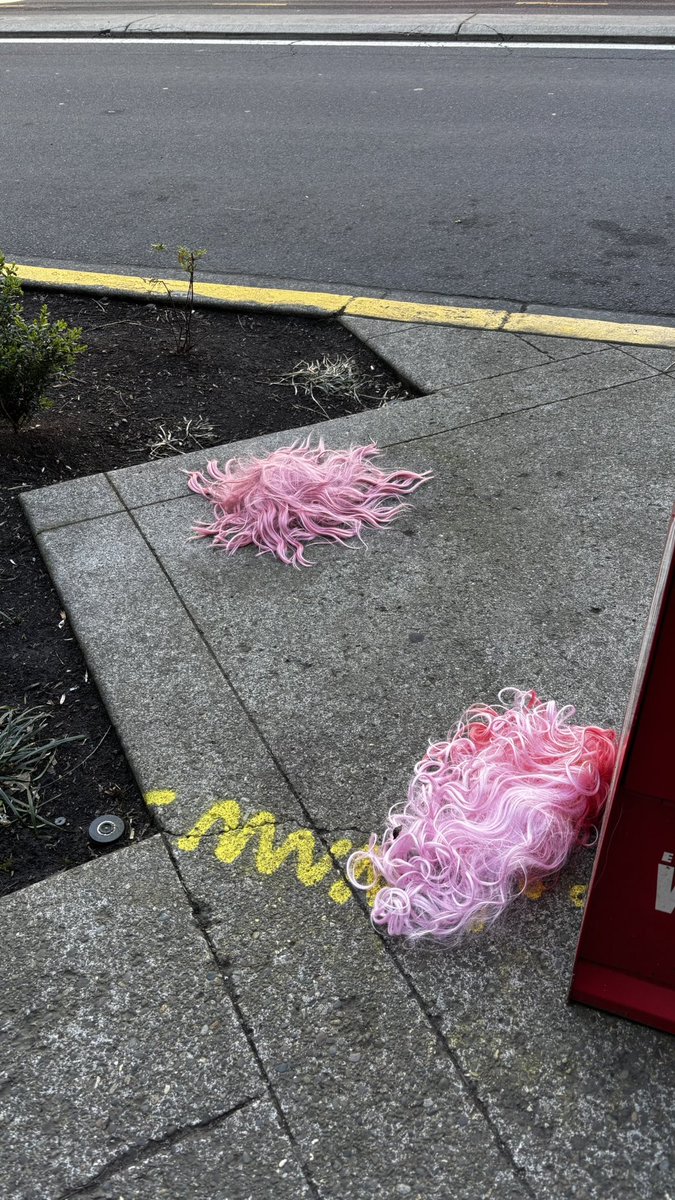 trashcanpapi tweet media