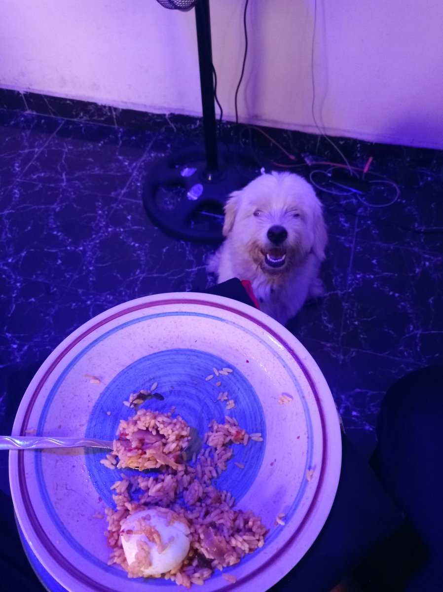 Extraordinaire Michael tweet media