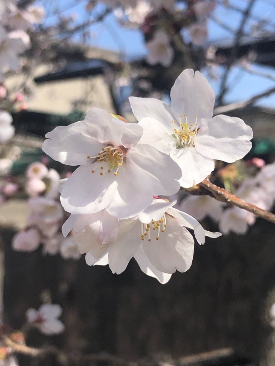 JG7WDI Tetsuo Express 🚇📡 tweet media